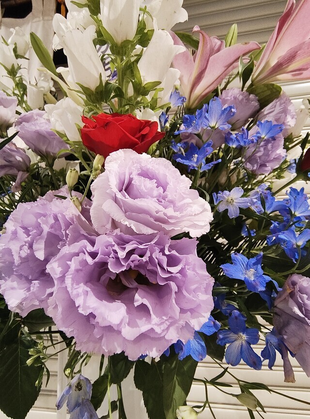 ありがとうございます｜写メ日記｜こまち｜鶯谷 ぽっちゃりデリヘル 豊満熟女