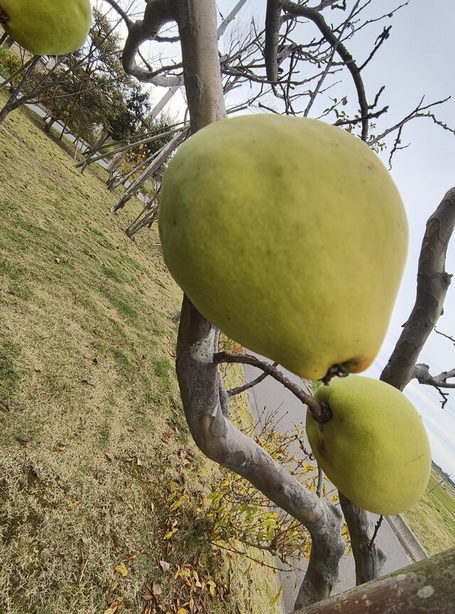 先週もありがとうございました