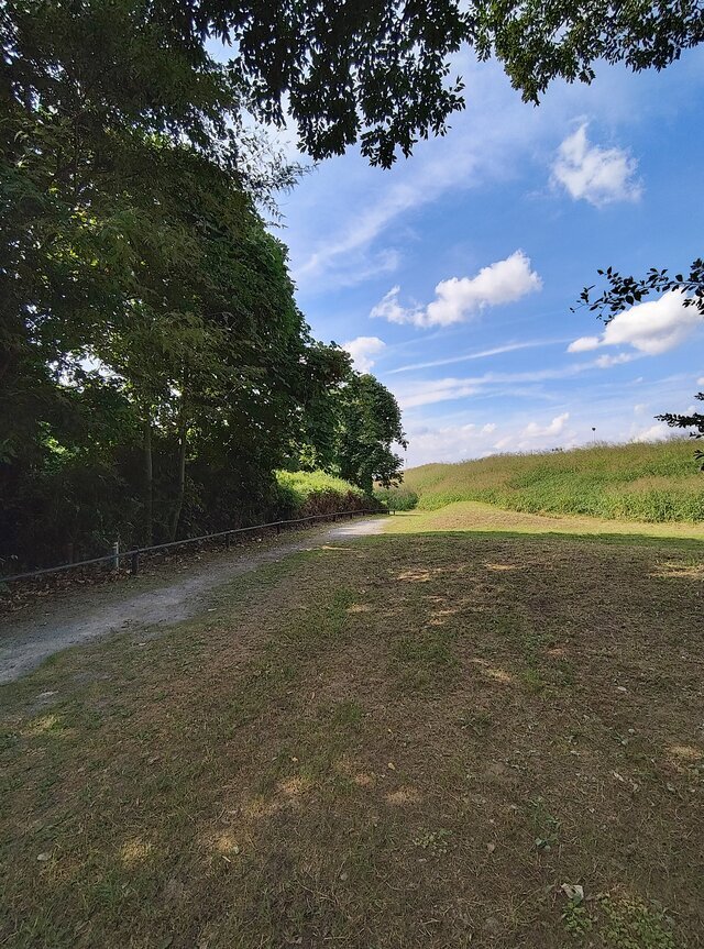 ありがとうございます｜写メ日記｜こまち｜鶯谷 ぽっちゃりデリヘル 豊満熟女