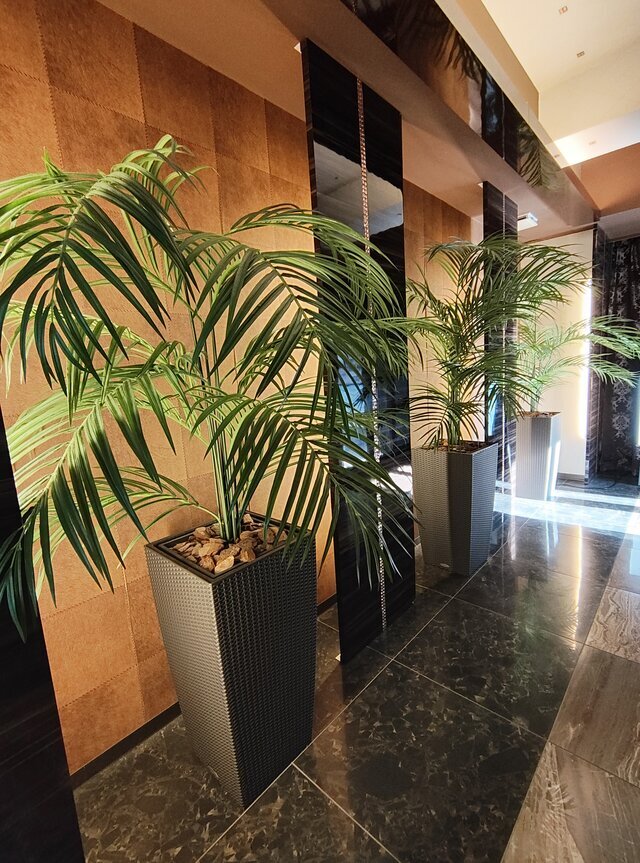 心よりありがとうございます