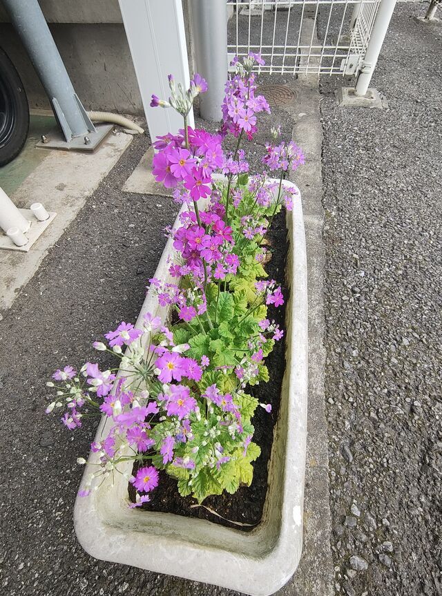 ありがとうございます｜写メ日記｜こまち｜鶯谷 ぽっちゃりデリヘル 豊満熟女