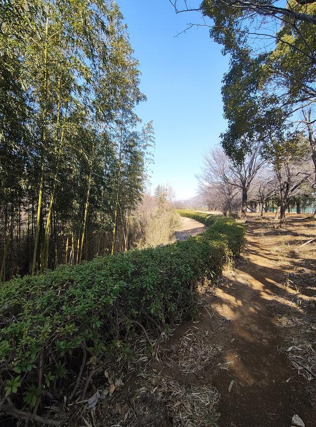 ありがとうございます｜写メ日記｜こまち｜鶯谷 ぽっちゃりデリヘル 豊満熟女