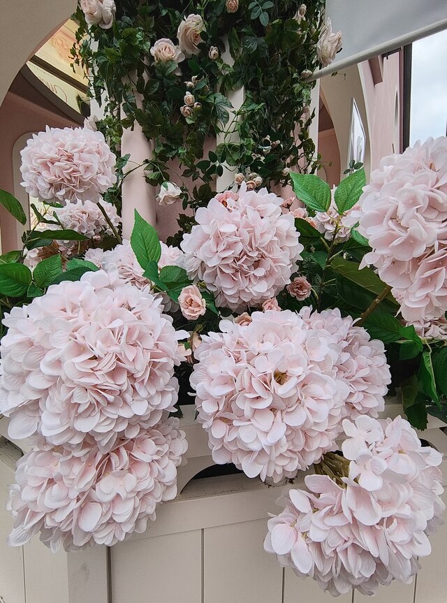 ありがとうございます｜写メ日記｜こまち｜鶯谷 ぽっちゃりデリヘル 豊満熟女