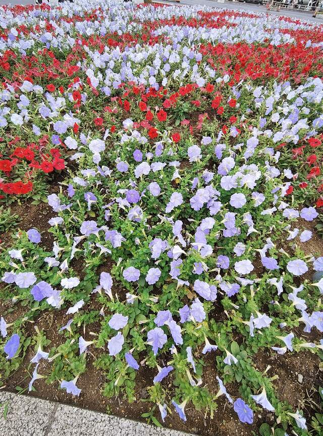 ありがとうございます