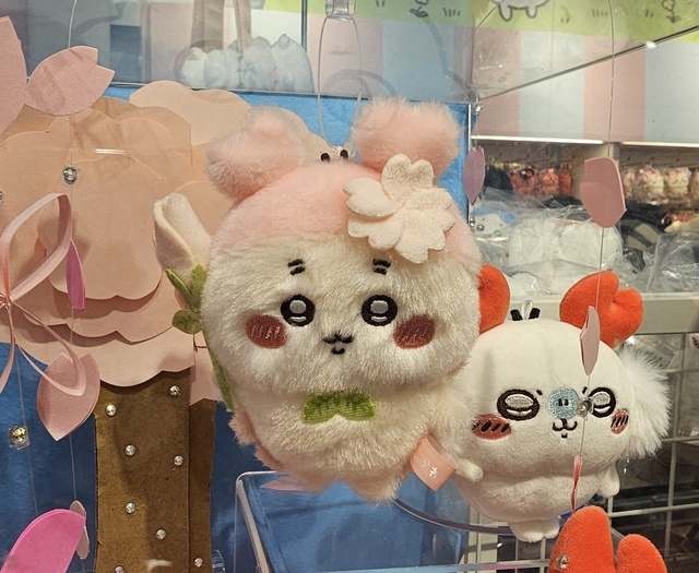 今日と明日出勤です！｜写メ日記｜たえ｜鶯谷 ぽっちゃりデリヘル 豊満熟女