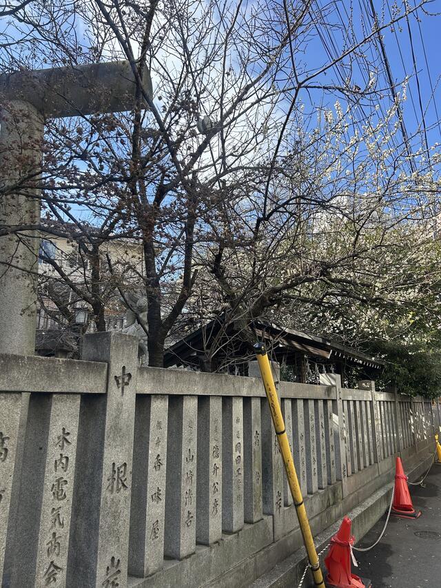 季節の中で｜写メ日記｜つぐみ｜鶯谷 ぽっちゃりデリヘル 豊満熟女