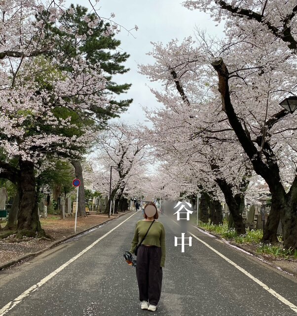 さくらのかほり｜写メ日記｜そら｜鶯谷 ぽっちゃりデリヘル 豊満熟女