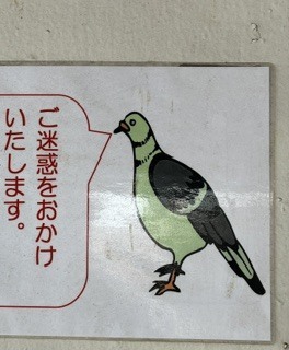 本日、お休みになります｜写メ日記｜そら｜鶯谷 ぽっちゃりデリヘル 豊満熟女