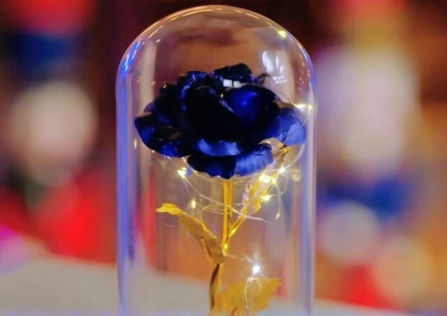 昨日はありがとうございました。