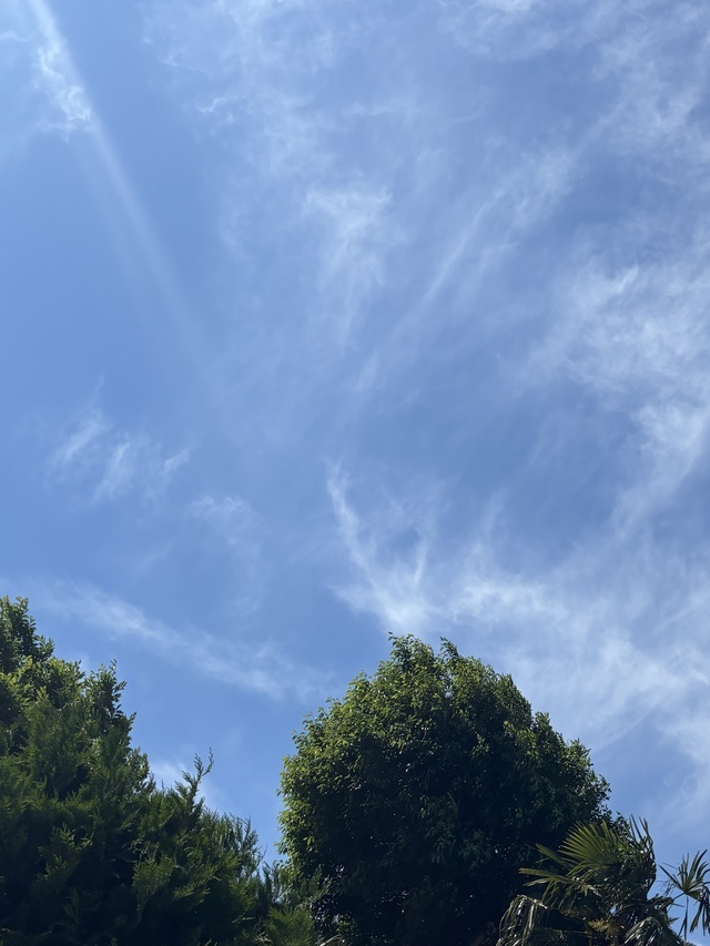 はじめまして｜写メ日記｜ちよこ｜鶯谷 ぽっちゃりデリヘル 豊満熟女