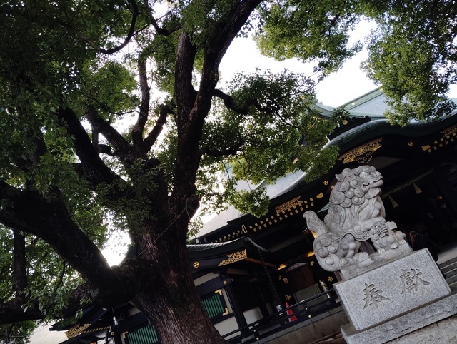 スッキリ｜写メ日記｜栗原(くりはら)｜鶯谷 ぽっちゃりデリヘル ミラクル☆ハニー