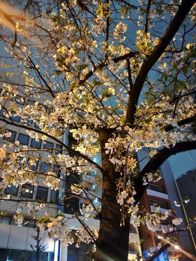 お久しぶり〜ʕ⁠´⁠•⁠ᴥ⁠•⁠`⁠ʔ