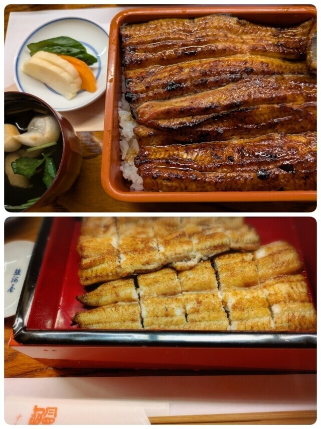 成田さんちのうなぎ｜写メ日記｜京花(きょうか)｜鶯谷 ぽっちゃりデリヘル ミラクル☆ハニー