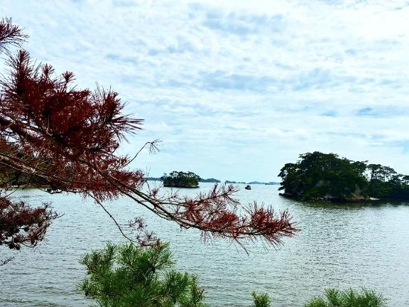 おはようございます✈️｜写メ日記｜れいこ｜新宿 人妻デリヘル 新宿・新大久保おかあさん