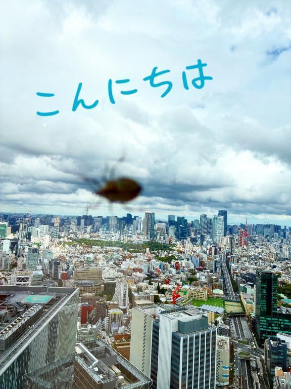 こんにちは｜写メ日記｜れいこ｜新宿 人妻デリヘル 新宿・新大久保おかあさん