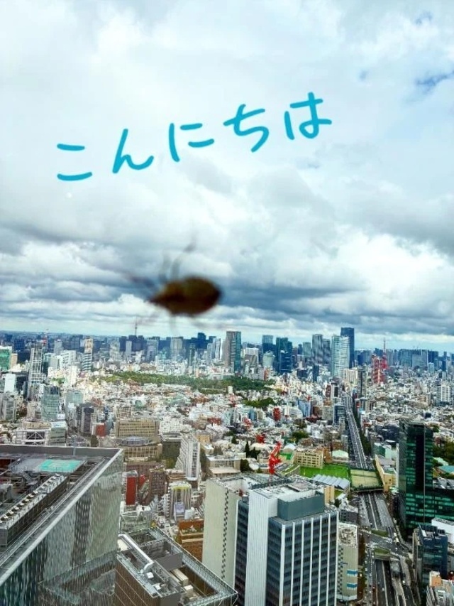 こんにちは🍂｜写メ日記｜れいこ｜新宿 人妻デリヘル 新宿・新大久保おかあさん