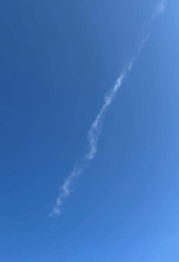 龍神様！？｜写メ日記｜たまき｜新宿 人妻デリヘル 新宿・新大久保おかあさん