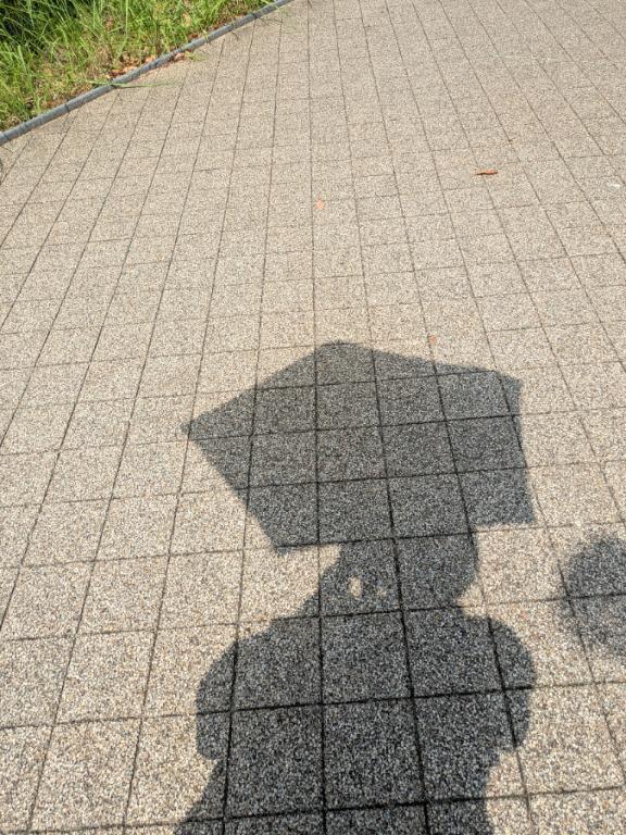 本日19時から出勤します
