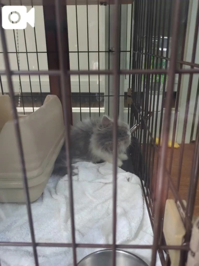 ９月も✨｜写メ日記｜みほ｜新宿 人妻デリヘル 新宿・新大久保おかあさん