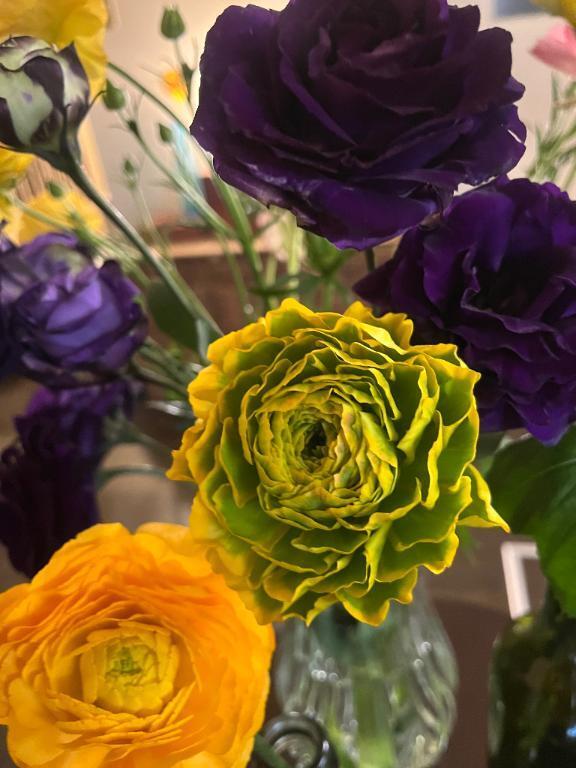 ものもらい｜写メ日記｜はな｜新宿 人妻デリヘル 新宿・新大久保おかあさん