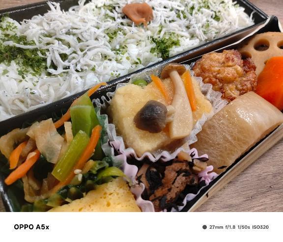 しらす二段弁当