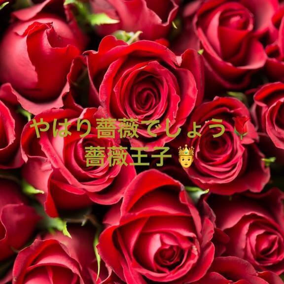薔薇王子｜写メ日記｜ことぶき｜新宿 人妻デリヘル 新宿・新大久保おかあさん