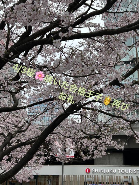 4/3桜咲いた合格王子御礼｜写メ日記｜ことぶき｜新宿 人妻デリヘル 新宿・新大久保おかあさん