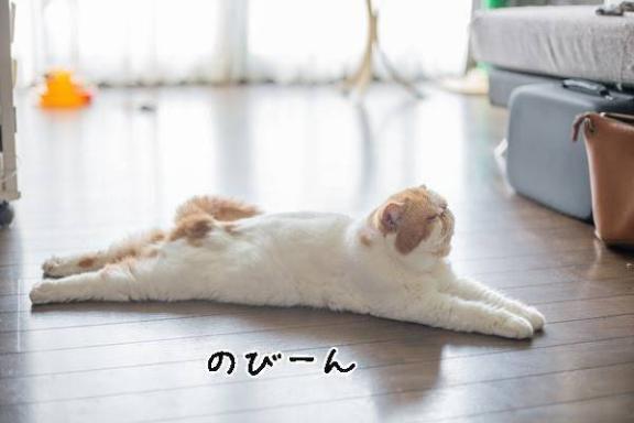 [お題]from:イカ焼きさん｜写メ日記｜みわこ｜新宿 人妻デリヘル 新宿・新大久保おかあさん
