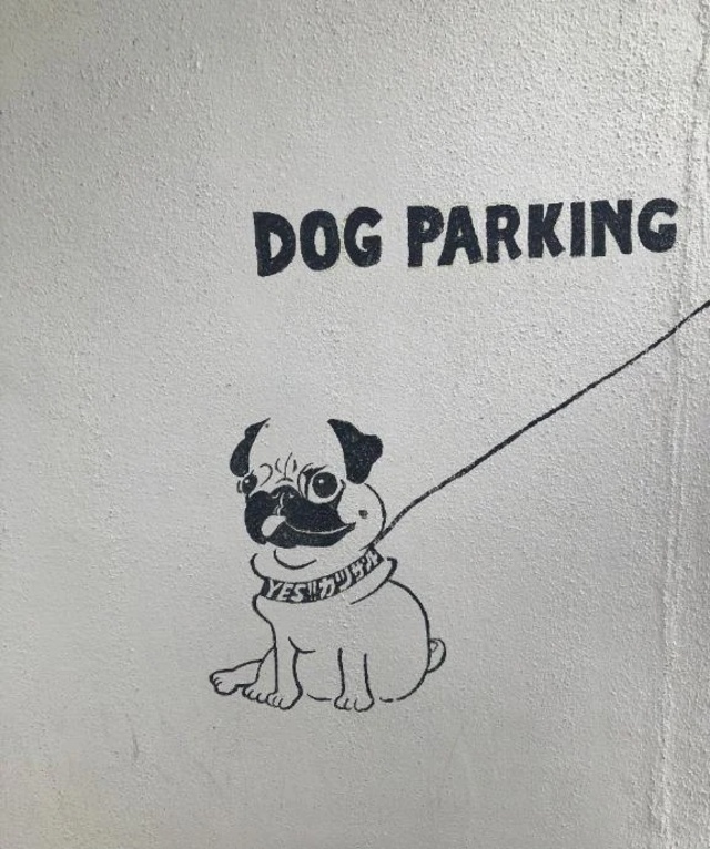 ❄️🍧🍉🍨🍦❄️←欲しいね𓂃 𓈒𓏸◌‬｜写メ日記｜さやか｜新宿 人妻デリヘル 新宿・新大久保おかあさん