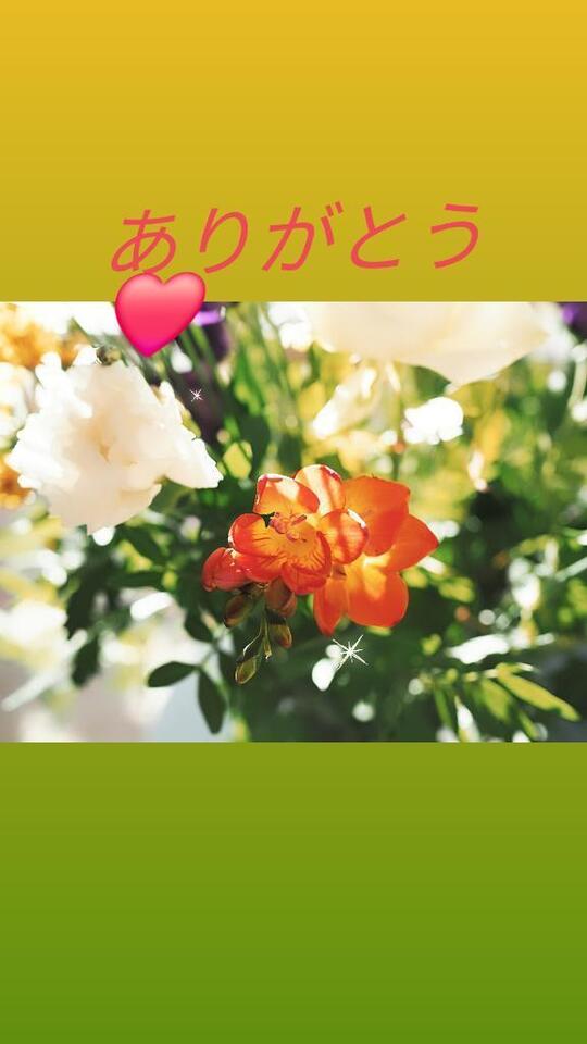 🌺お礼🌺｜写メ日記｜みちこ｜新宿 人妻デリヘル 新宿・新大久保おかあさん