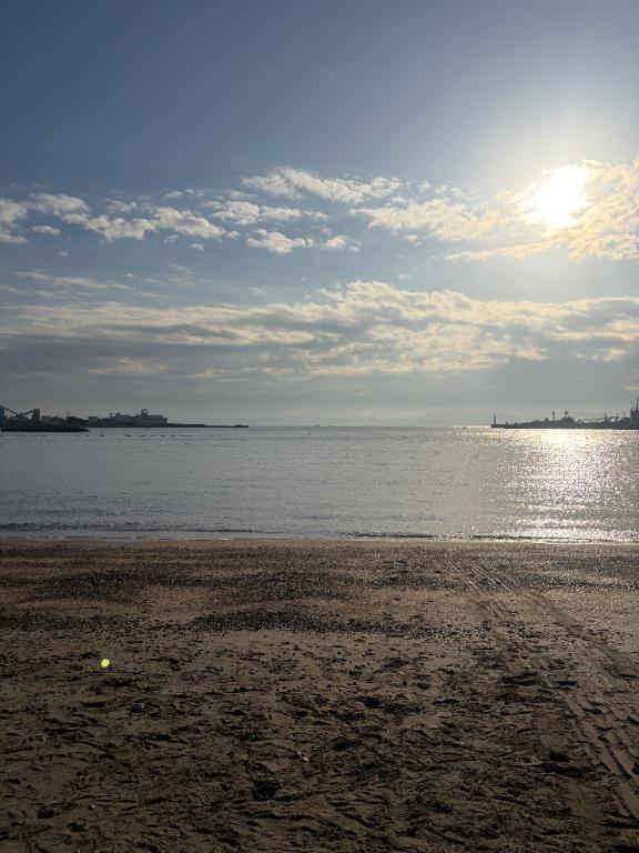 本日は｜写メ日記｜まり｜新宿 人妻デリヘル 新宿・新大久保おかあさん