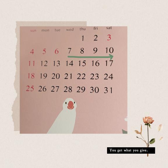 5月スタート
