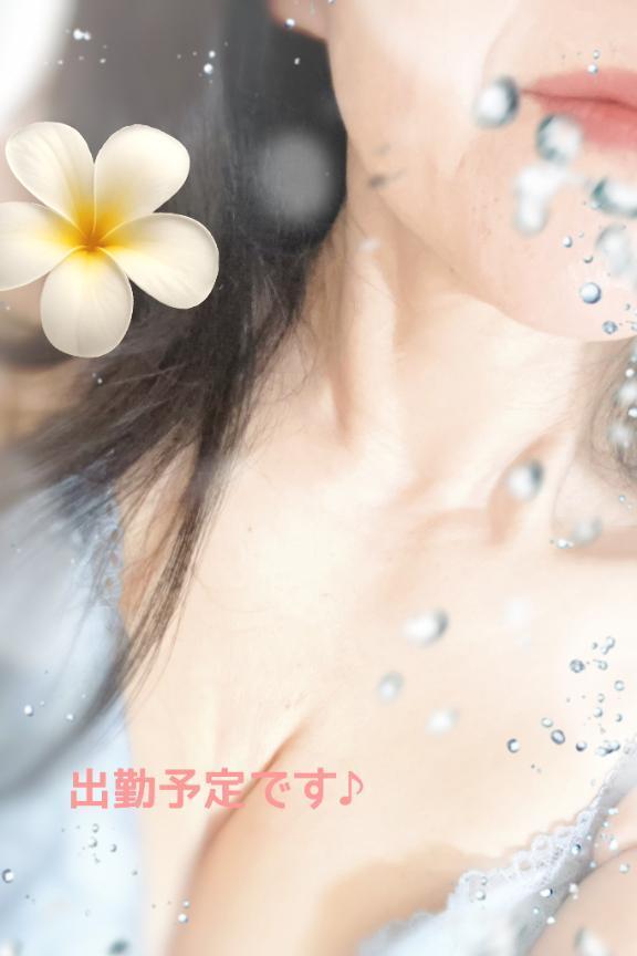雨はどうなる？｜写メ日記｜つばき｜新宿 人妻デリヘル 新宿・新大久保おかあさん