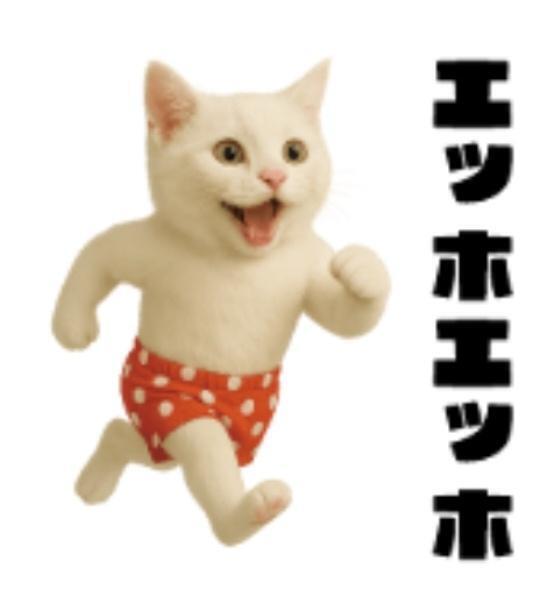 🙋【毎晩かあさん】研究の結果｜写メ日記｜さりな｜新宿 人妻デリヘル 新宿・新大久保おかあさん
