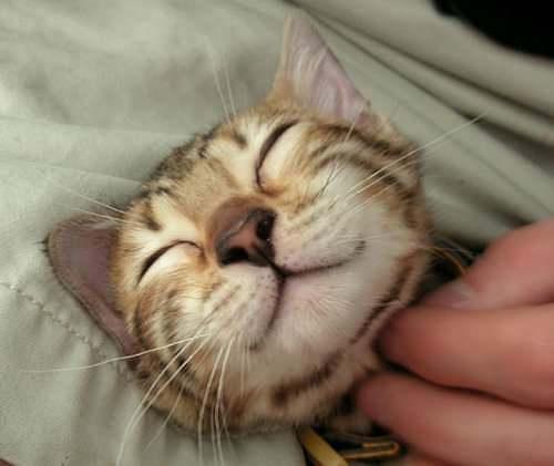 [お題]from:常連さんと呼ばれたいさん｜写メ日記｜そのみ｜新宿 人妻デリヘル 新宿・新大久保おかあさん