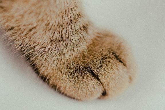 [お題]from:キリンさん｜写メ日記｜そのみ｜新宿 人妻デリヘル 新宿・新大久保おかあさん