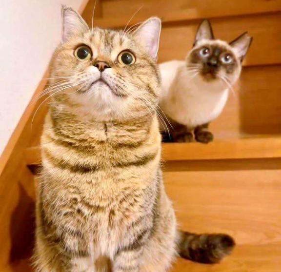 [お題]from:レッドキャッスルさん｜写メ日記｜そのみ｜新宿 人妻デリヘル 新宿・新大久保おかあさん