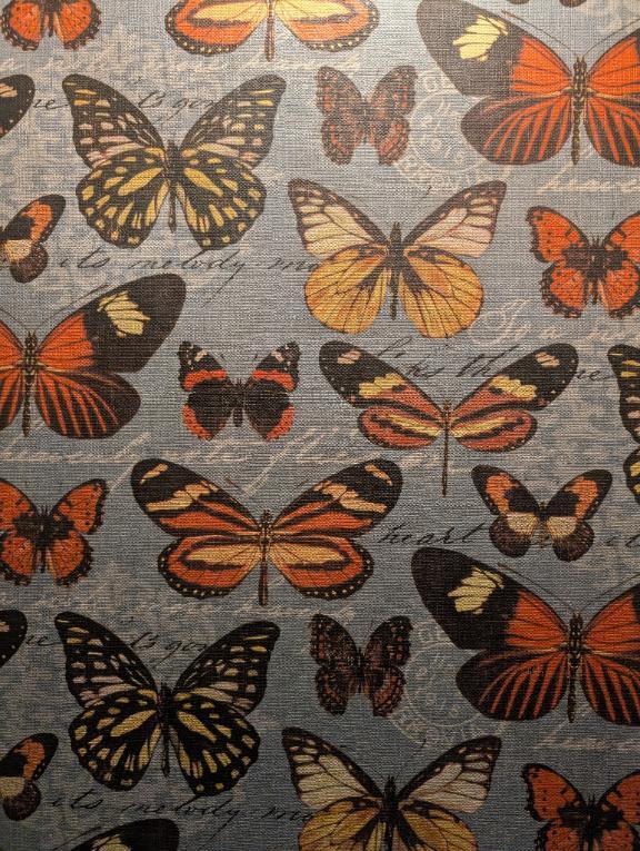 今日はごめんなさい｜写メ日記｜そのみ｜新宿 人妻デリヘル 新宿・新大久保おかあさん