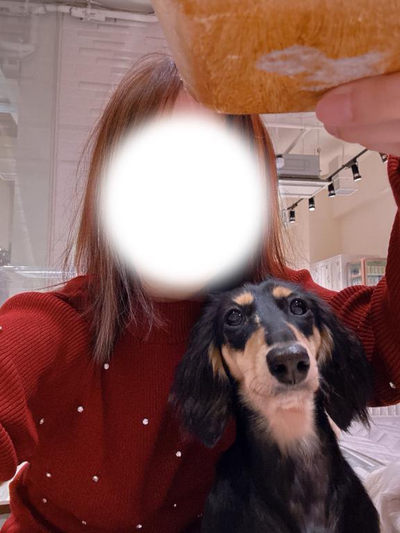 世間は連休ですね