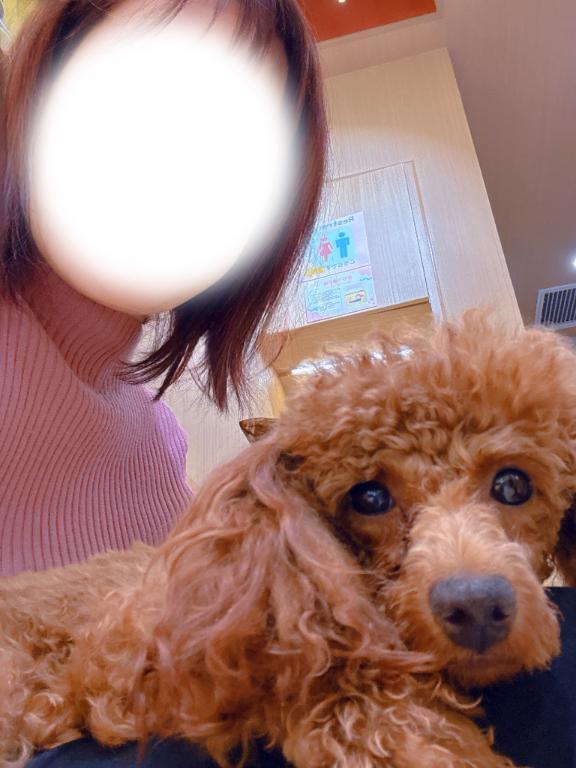 犬カフェ行きました｜写メ日記｜あんず｜新宿 人妻デリヘル 新宿・新大久保おかあさん