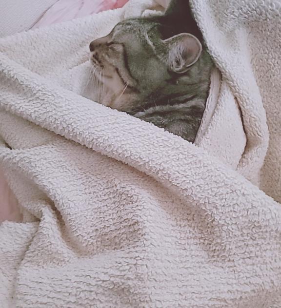 ぼんやり｜写メ日記｜るな｜新宿 人妻デリヘル 新宿・新大久保おかあさん