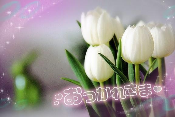 花言葉｜写メ日記｜ゆめ｜新宿 人妻デリヘル 新宿・新大久保おかあさん