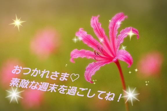 お疲れさまでした｜写メ日記｜ゆめ｜新宿 人妻デリヘル 新宿・新大久保おかあさん