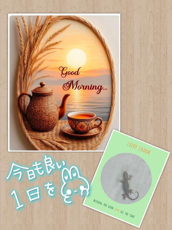 出勤しました｜写メ日記｜ゆめ｜新宿 人妻デリヘル 新宿・新大久保おかあさん