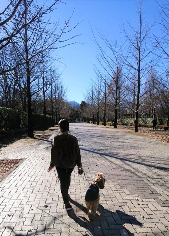 本日も(* ´  ` *)ﾉ｜写メ日記｜めぐみ｜新宿 人妻デリヘル 新宿・新大久保おかあさん