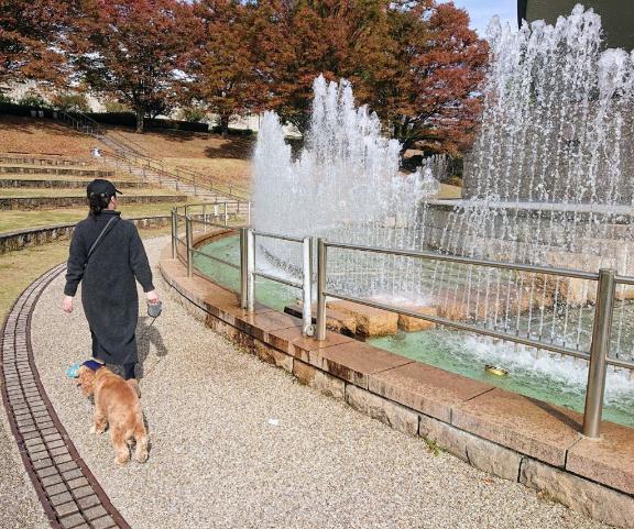 おはようございます(*´ー｀*)｜写メ日記｜めぐみ｜新宿 人妻デリヘル 新宿・新大久保おかあさん