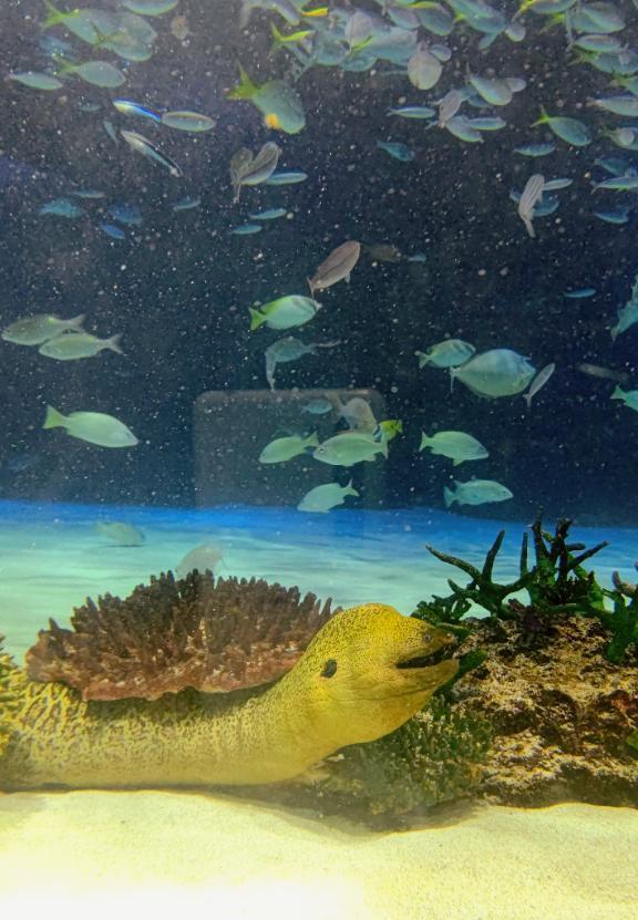 おはようございます