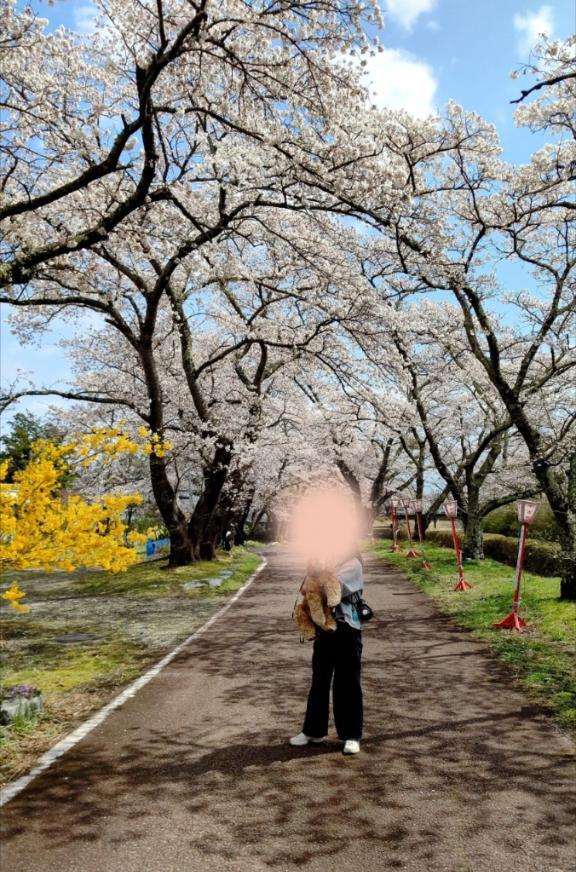 ３月3日｜写メ日記｜めぐみ｜新宿 人妻デリヘル 新宿・新大久保おかあさん