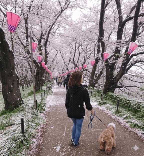 なごり雪｜写メ日記｜めぐみ｜新宿 人妻デリヘル 新宿・新大久保おかあさん