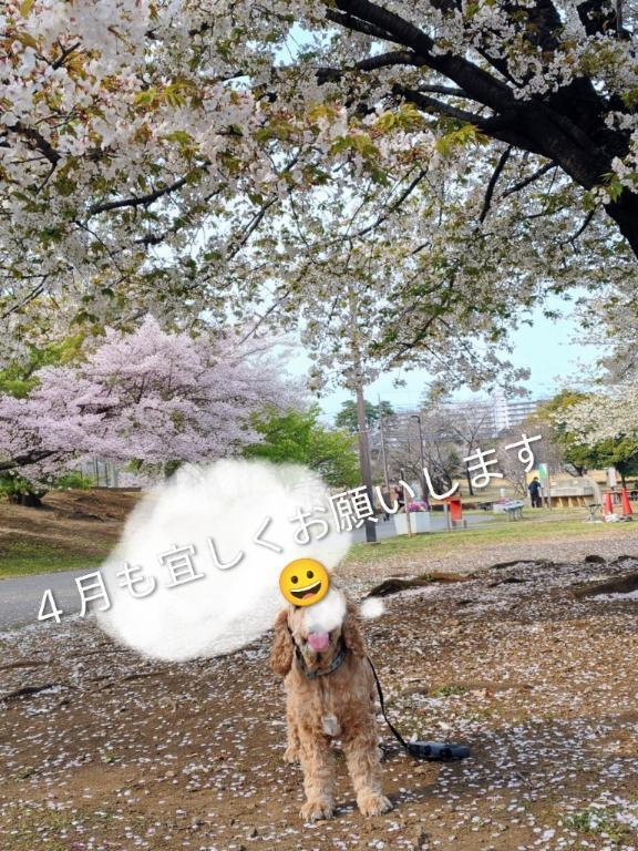 おはようございます